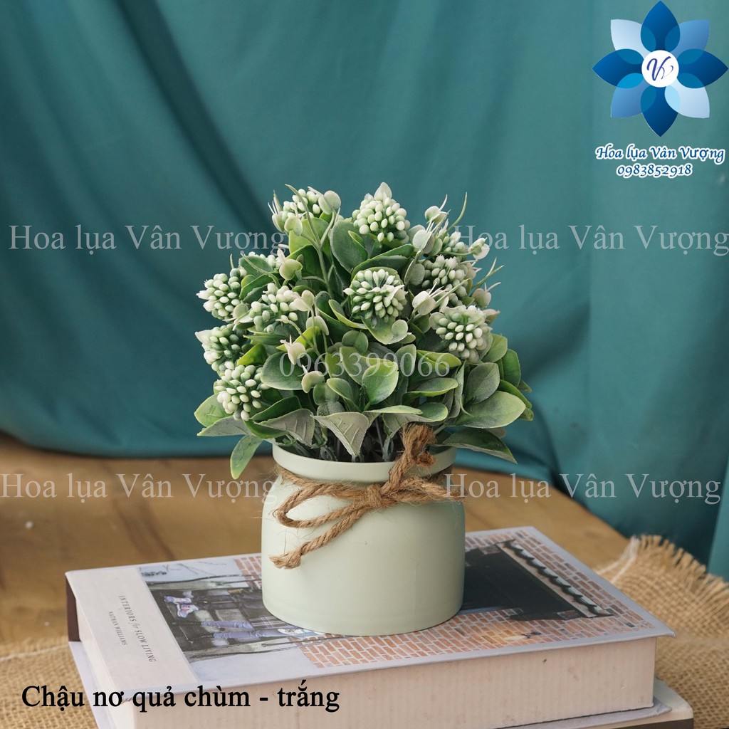 [Mã SKAMLTSM9 giảm 10% đơn 99K] Hoa Giả FREESHIP Chậu Hoa Nhựa Để Bàn