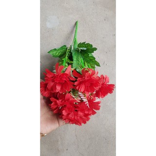 cúc tàu cao cấp