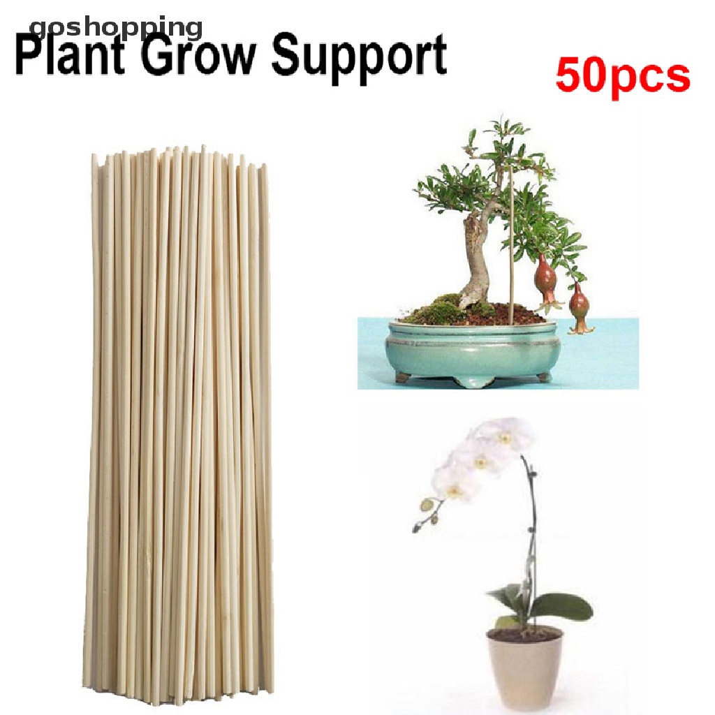 Set 50 Que Gỗ Tre Hỗ Trợ Trồng Cây / Gậy Hoa