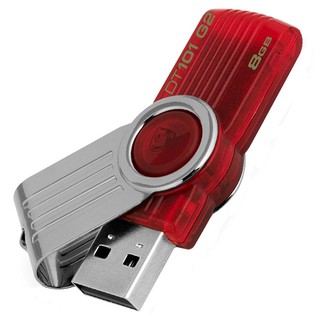 Usb kingston 8g