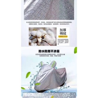 Bạt phủ xe bạc