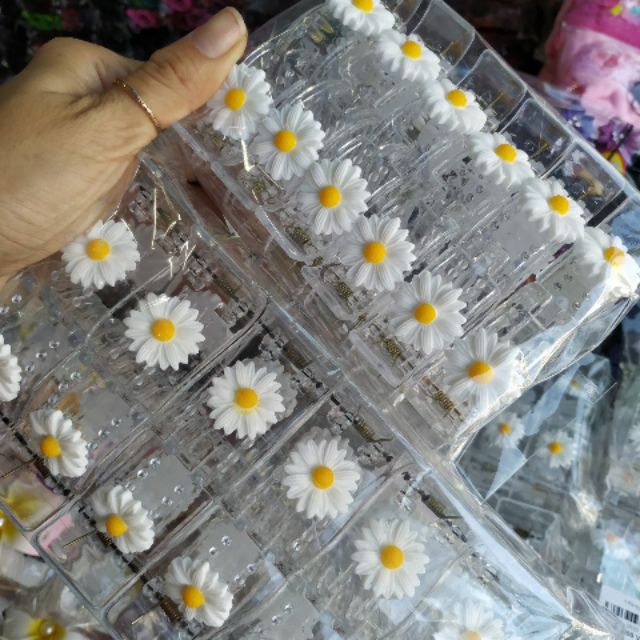 1 KẸP HOA CÚC TRẮNG TRONG