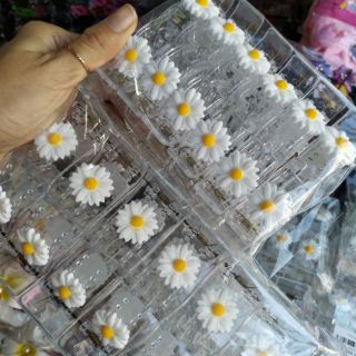 1 KẸP HOA CÚC TRẮNG TRONG