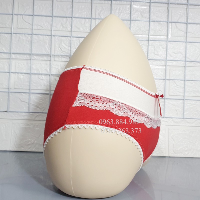 Quần lót nữ QN.02 chất cotton phối zen màu đẹp xinh cho chị em- Ảnh shop chụp