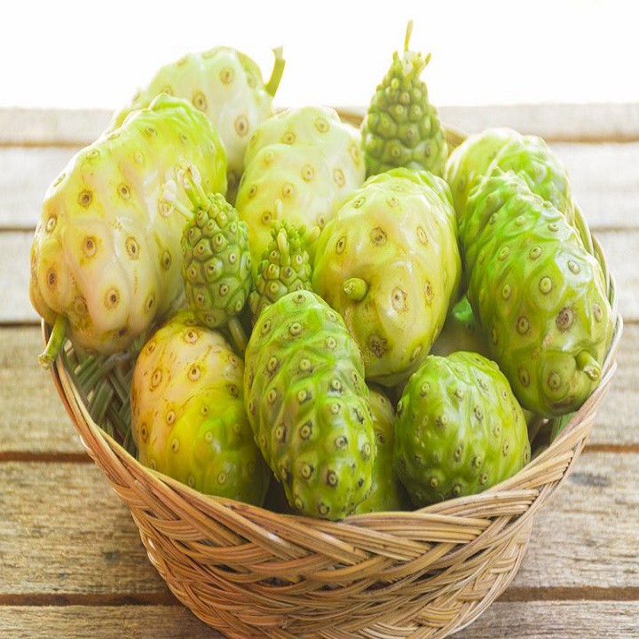 DẦU TRÁI NHÀU  1lít