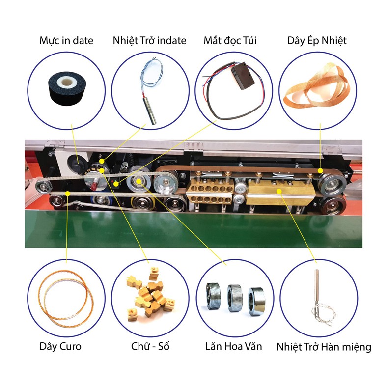 Mực lăn indate dùng cho máy hàn miệng túi liên tục FRM-980/1000 - propack