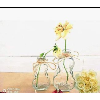 BÌNH THỦY TINH HÌNH ĐÀN VIOLONG 300ML NÚT BẦN