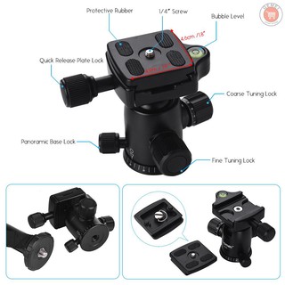Chân máy ảnh Beike Q-555