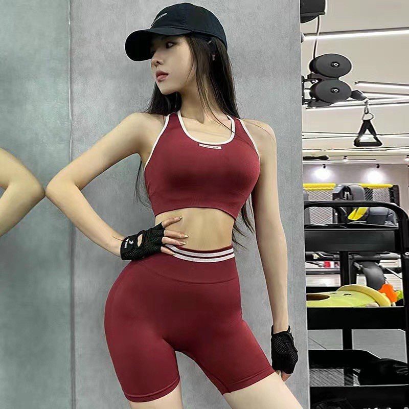 Set bộ đồ tập gym yoga nữ dệt kim áo bra kèm mút quần đùi ngố cao cấp freesize Bin Sports BL026