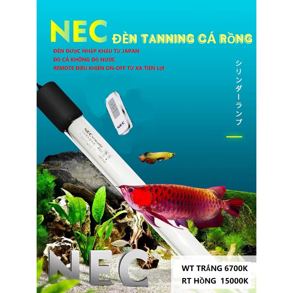 Đèn Chìm T8 Nec Nhật Bản Tanning Cá Rồng