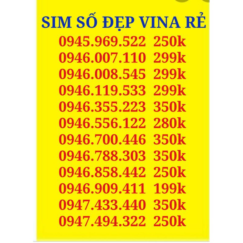 SIM SỐ ĐẸP Vina