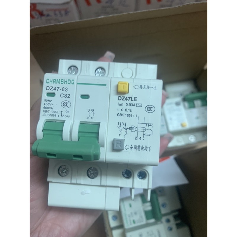 Aptomat Chống Giật 2 Pha C20 - C32 và - C63. Giá 1 Cái