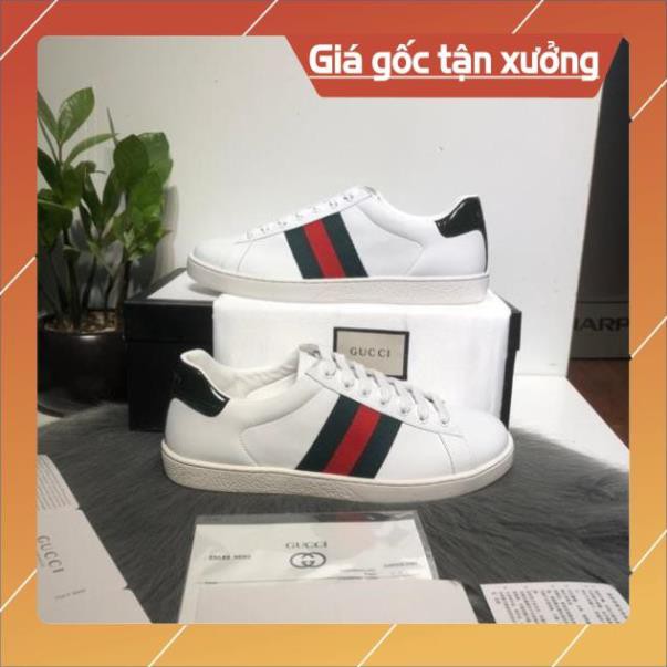 [FreeShip+ Hàng Cao Cấp] Giày thể thao Gucci nam nữ cao cấp, Giày nam nữ Full phụ kiện (ảnh thật)