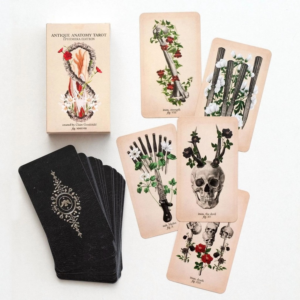 Bộ bài The Antique Anatomy Tarot T11