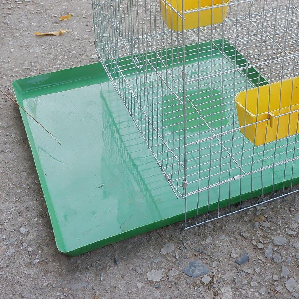 Khay vệ sinh cho chim cảnh (khay nhựa màu xanh) - khay hứng kít lồng chim, lồng chó mèo ( 50x50cm) - Dùng cho chim, gà,