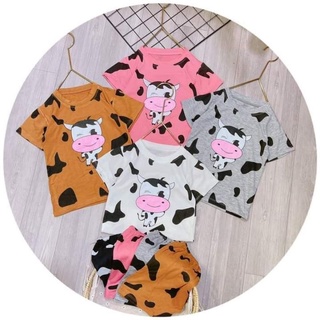 Com bo bộ bò sữa 100k/3 bộ