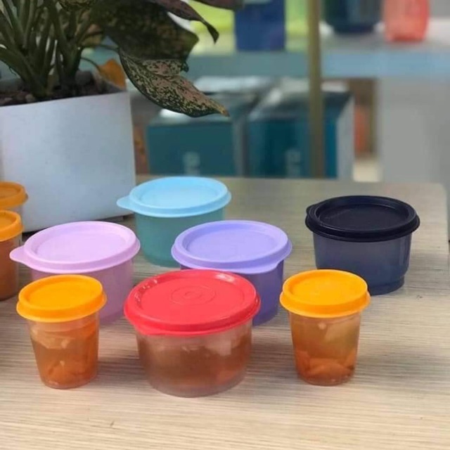 Hộp trữ mát - đồ khô Tupperware 60ml - 150ml