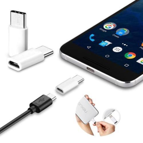 Set 2 đầu chuyển đổi kết nối Micro USB sang Type C