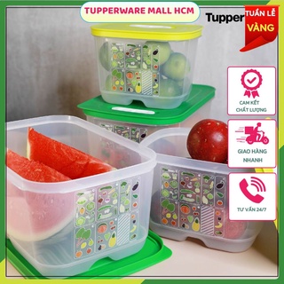 Hộp Bảo quản trữ mát ventsmart 🌷Freeship extra 🌷Tupperware cao cấp, có nút hô hấp