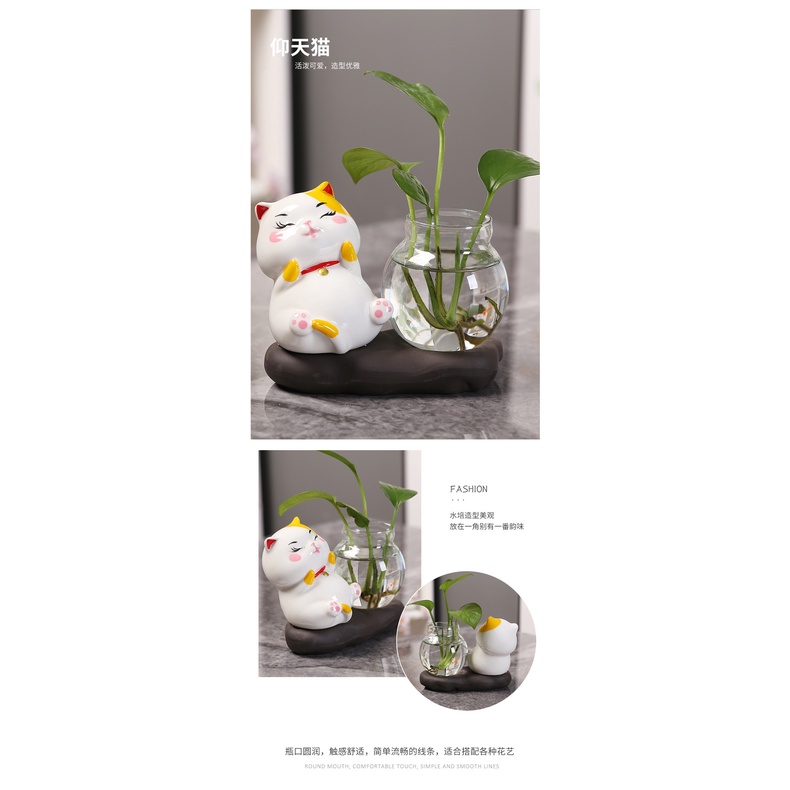 Lọ Hoa Thủy Canh Hình Mèo May Mắn Sáng Tạo Trang Trí Phòng Khách Mới