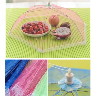 Convenient Folding Food Covering Cage