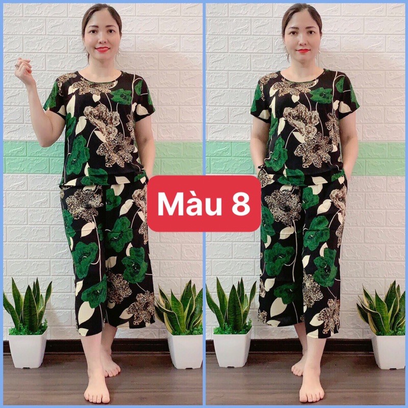 ❤️❤️BỘ LANH ĐẠI ỐNG SỚ ANH THƯ | BigBuy360 - bigbuy360.vn