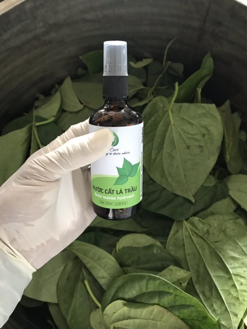 Nước Cất Lá Trầu Không Nguyên Chất 100ml