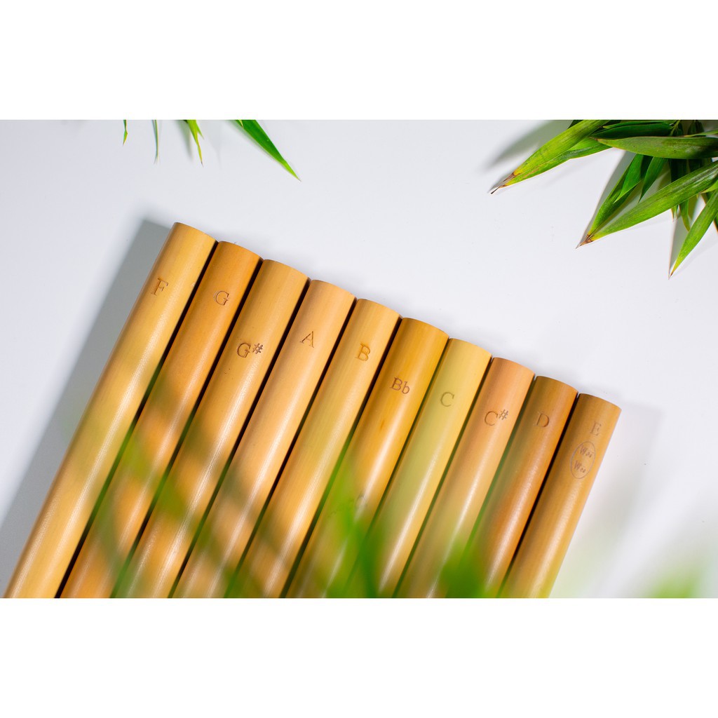 Sáo Trúc Mão Mèo HD3 - STHD3500k