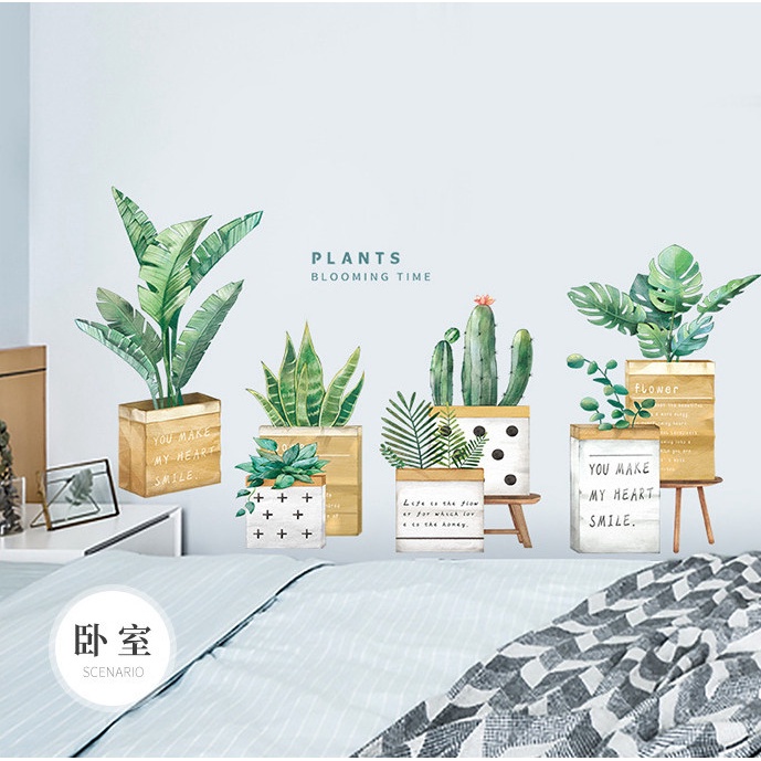 Decal trang trí tường - Nhiều chậu cây xanh trong chậu gỗ