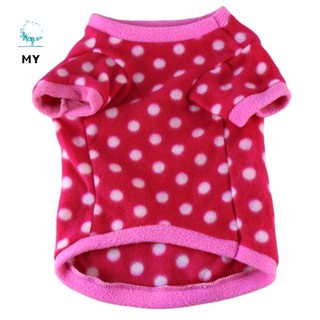 Đồ giữ ấm dễ thương cho thú cưng