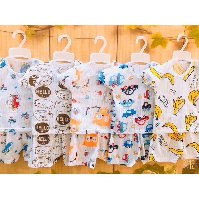 Combo sỉ 25b cotton giấy cho bé