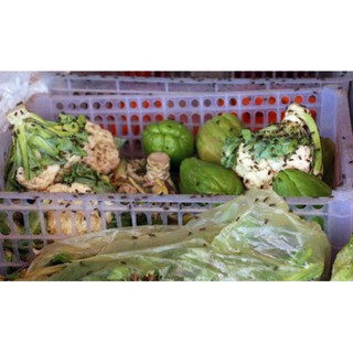  thuốc diệt (RUỒI NHẶNG MUỖI KIẾN DÁN)