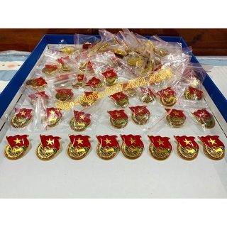 SET 05 HUY HIỆU ĐOÀN - Kim loại phủ keo hàng đẹp
