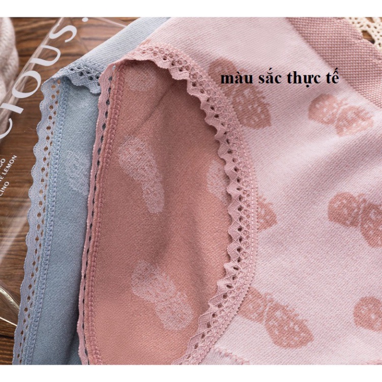 Quần lót nữ Cotton Dệt Kim Kháng Khuẩn Siêu Co Giãn