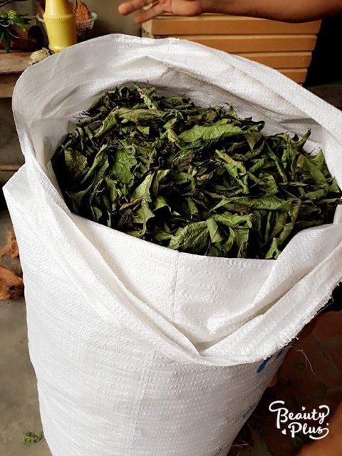 Xạ đen Hoà Bình khô chính hiệu