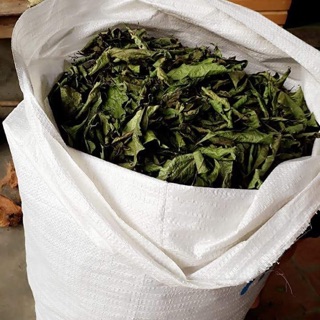 Xạ đen hoà bình 3kg