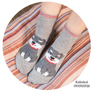 Tất Hình Chú Chó Cổ Trung