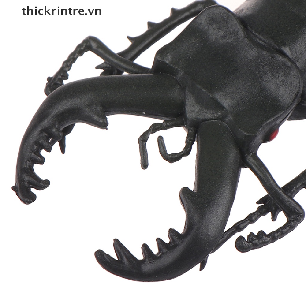 Đồ chơi mô hình bọ cánh cứng sáng tạo dùng dạy học cho bé