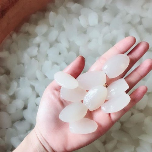 Hạt đác tươi rim đường phèn không chất bảo quản và phụ gia 1kg SÀI GÒN ĐẶC SẢN