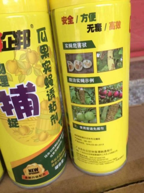 Keo Bẫy Ruồi Vàng