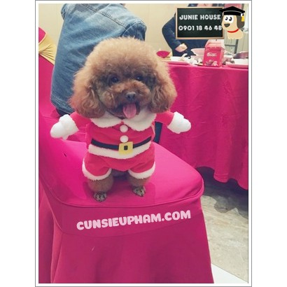 ÁO COSPLAY ÔNG GIÀ NOEL CHO CHÓ MÈO