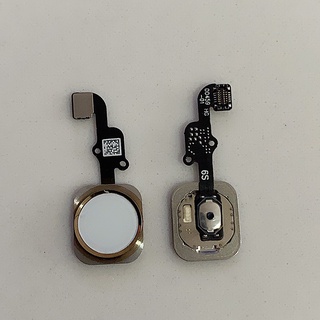 Nút home 5g / 6g / 6s / 6 plus / 6s plus / 7 / 7 plus