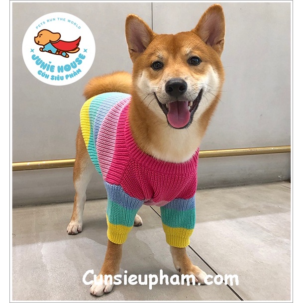 Áo len Tết 7 màu xinh xắn cho chó lớn
