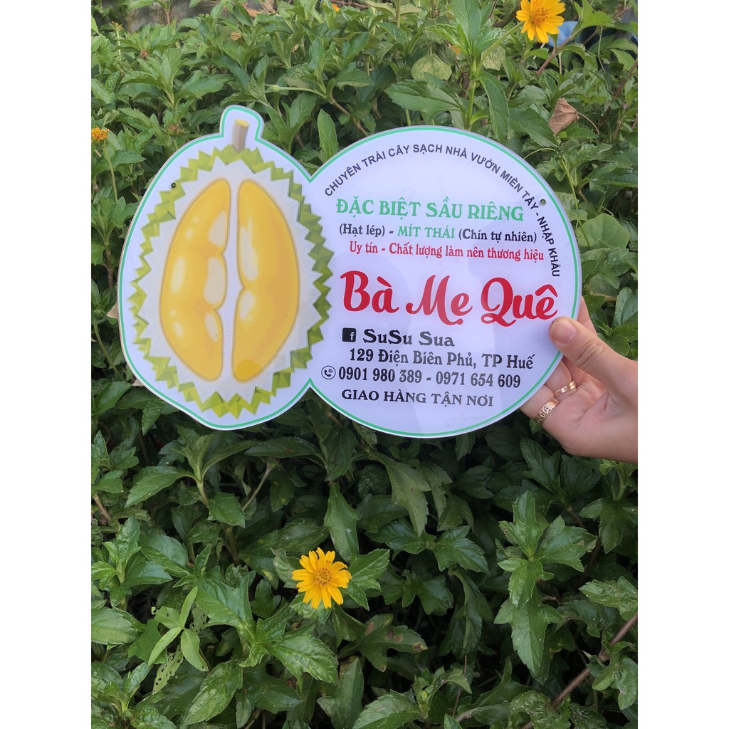 Bảng Hiệu Mica- Bảng Hình Sầu Riêng