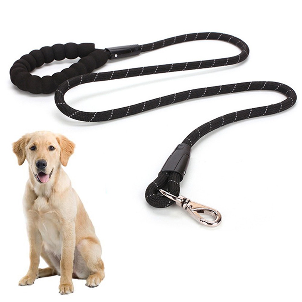 Dây Dẫn Thú Cưng Đi Dạo Tiện Lợi
