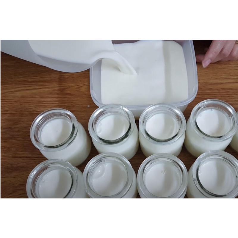 200G bột ppud, tàu hũ 2/ 6 có vị xoài, dâu, trà, socola, sầu, khoai môn, trà xanh, sữa dừa