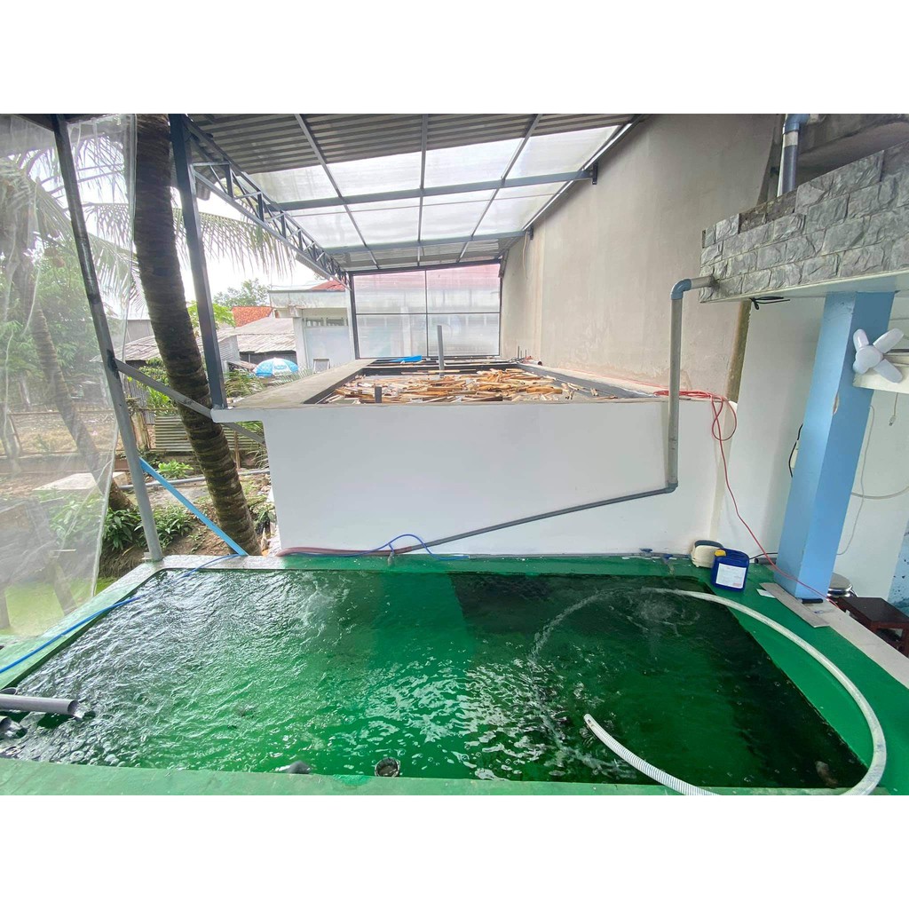 Combo 1 sơn chống thấm hồ cá koi bao gồm 1 thùng sơn lót và 1 thùng sơn phủ sơn được 30m2 kyanhkoifarm.com