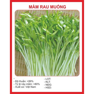 Hạt Giống Rau Mầm Muống - 50gr