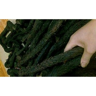 Sỉ giá gốc nhục thung dung 100g - 200g - 300g