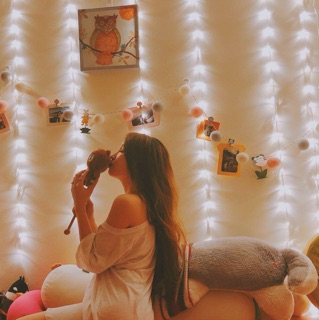 Đèn dây mành 3m x 2m